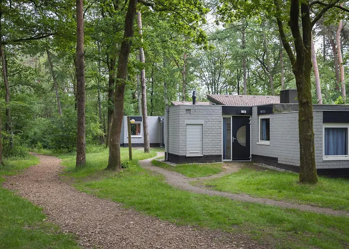 Kompleks wypoczynkowy Summio Parc De Berkenhorst